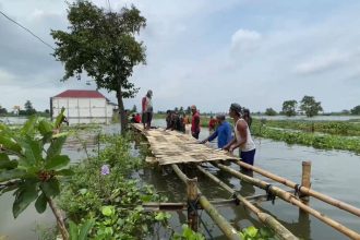Jalan anyaman bambu di Lamongan