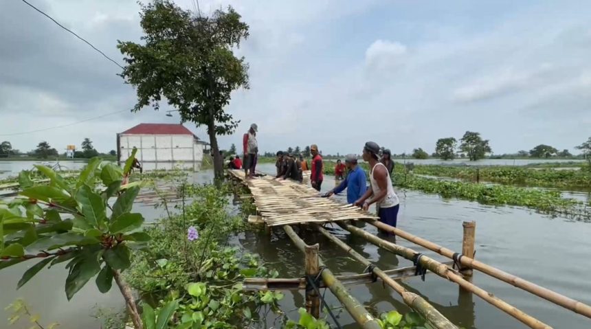 Jalan anyaman bambu di Lamongan