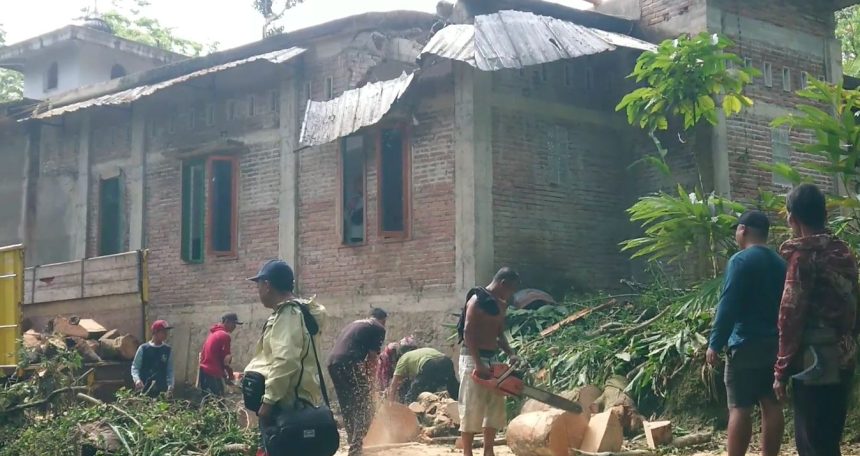 Jelang Salat Tarawih, Masjid di Trenggalek Tertimpa Pohon Tumbang