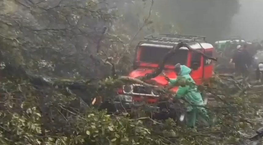 Hujan Deras Picu Longsor di Wonokitri Tosari, Tujuh Motor Tertimbun dan Akses Bromo Terganggu