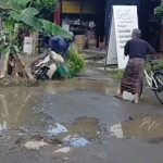 Jalan Rusak Parah, Warga Nganjuk Tanami Jalan Dengan Pohon Pisang.