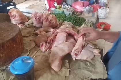 Jelang Ramadhan, Harga Ayam Potong di Ngawi Meroket hingga Rp42 Ribu per Kilogram