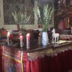 Jelang Imlek 2026, Umat Klenteng Tjoe Tik Kiong Gelar Sembahyang Sang Sin dan Pasang Ratusan Lampion