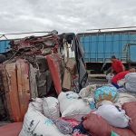 Adu Banteng Truk Muatan Sapi vs Truk Muatan Kain di Ngawi, 4 Orang Luka dan 2 Sapi Mati