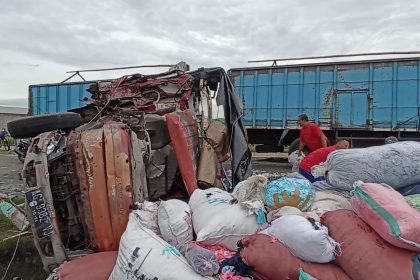 Adu Banteng Truk Muatan Sapi vs Truk Muatan Kain di Ngawi, 4 Orang Luka dan 2 Sapi Mati