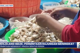 Jelang Imlek, Permintaan Rajungan Probolinggo Melejit