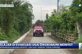 Pelajar Di Evakuasi Usai Dikerumuni Monyet
