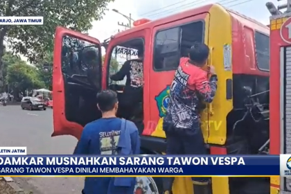 Aksi Damkar Musnahkan Sarang Tawon Vespa