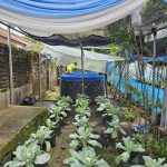 Dilengkap Green House dan Bioflok, SPPG Polda Jatim di Mojokerto Diapresiasi Presiden dan Kapolri