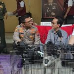 Polisi Ungkap Perdagangan Satwa Dilindungi, Jaringan Pasar Gelap Internasional