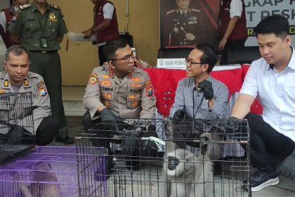 Polisi Ungkap Perdagangan Satwa Dilindungi, Jaringan Pasar Gelap Internasional