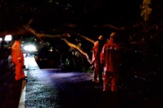 Sejumlah Pohon Besar Tumbang di Magetan, Dua Remaja Putri Luka Berat dan Ringan