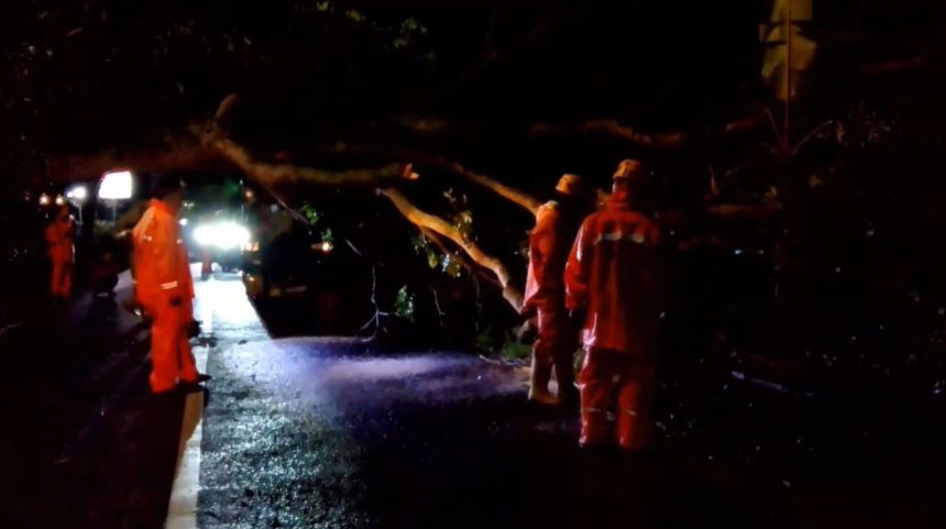 Sejumlah Pohon Besar Tumbang di Magetan, Dua Remaja Putri Luka Berat dan Ringan