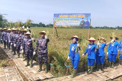 Puspenerbal Panen Raya Padi Varietas Unggul Penuhi Pangan Anggota dan Masyarakat