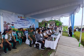 BULOG Akan Bangun 100 Gudang Baru untuk Serap 4 Juta Ton Gabah Program Ketahanan Pangan 2026