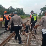 Nekat Terobos Perlintasan Tertutup, Lansia Tewas Tertabrak KA di Blitar