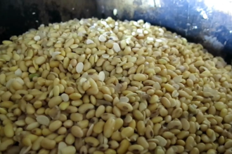 Harga Kedelai Impor Meroket, Perajin Tahu-Tempe di Sidoarjo Mulai Menjerit