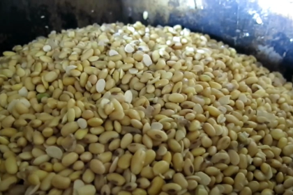 Harga Kedelai Impor Meroket, Perajin Tahu-Tempe di Sidoarjo Mulai Menjerit