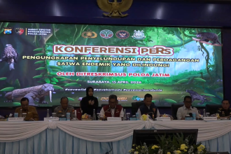 Polda Jatim Ungkap Penyelundupan Tiga Anak Komodo ke Thailand