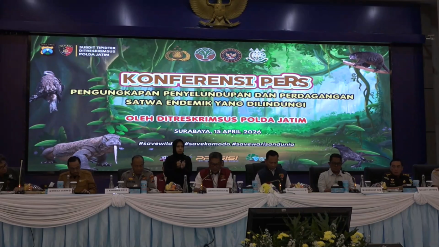 Polda Jatim Ungkap Penyelundupan Tiga Anak Komodo ke Thailand