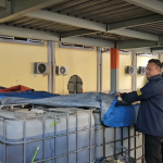 Polres Gresik Bongkar Penimbunan Solar Bersubsidi, Amankan 9 Ribu Liter dan Satu Pelaku