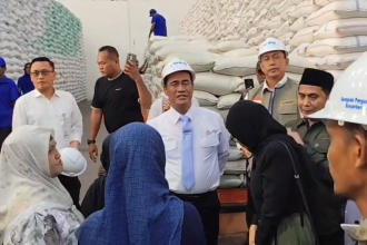 Kementan Antisipasi El Nino “Godzilla”, Stok Beras Dipastikan Aman