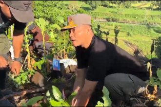 Peringati Hari Bumi, Bupati Situbondo Ajak Warga Tanam Puluhan Ribu Pohon