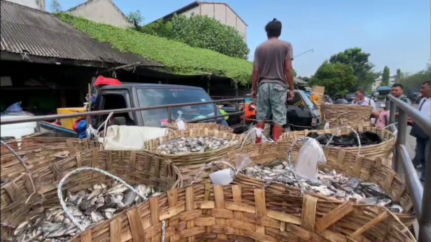 Harga Ikan Air Tawar di Lamongan Anjlok, Petambak dan Pedagang Merugi