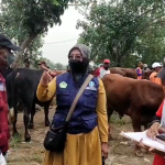 Jelang Iduladha, Vaksinasi PMK di Gresik Digenjot, Pembeli Diimbau Pilih Hewan Tervaksin
