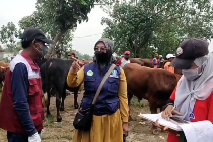 Jelang Iduladha, Vaksinasi PMK di Gresik Digenjot, Pembeli Diimbau Pilih Hewan Tervaksin