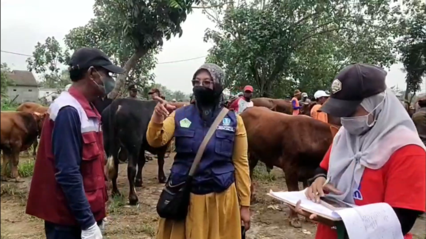 Jelang Iduladha, Vaksinasi PMK di Gresik Digenjot, Pembeli Diimbau Pilih Hewan Tervaksin