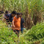 Hilang Lima Hari, Seorang Nenek Ditemukan Meninggal di Kebun Tebu