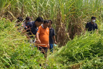 Hilang Lima Hari, Seorang Nenek Ditemukan Meninggal di Kebun Tebu