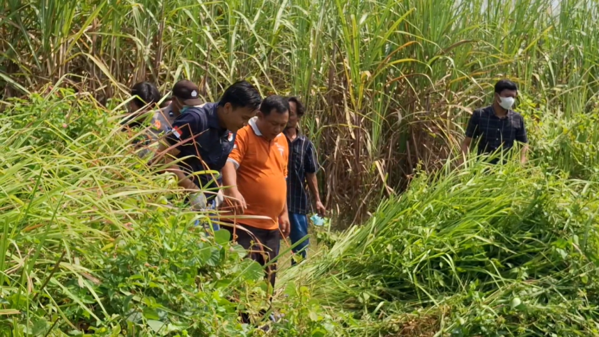 Hilang Lima Hari, Seorang Nenek Ditemukan Meninggal di Kebun Tebu