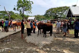 Harga Sapi di Pasar Hewan Lamongan Melonjak Jelang Hari Raya Kurban