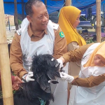Hewan Kurban Terjangkit ORF di Sumenep Langsung Dikarantina