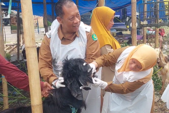 Hewan Kurban Terjangkit ORF di Sumenep Langsung Dikarantina