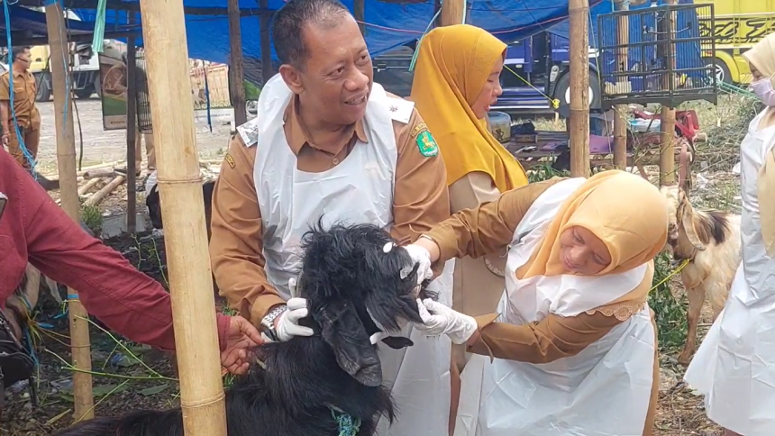 Hewan Kurban Terjangkit ORF di Sumenep Langsung Dikarantina