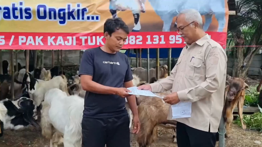 Dua Hari Jelang Idul Adha, Permintaan Hewan Kurban di Gresik Meningkat Tajam